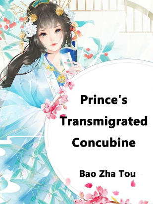 Prince's Transmigrated Concubine